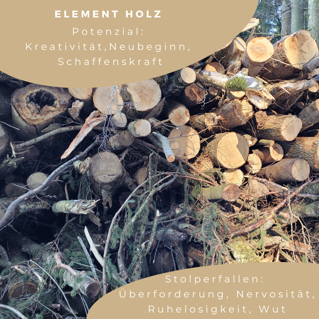 Element Holz (TCM)