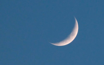 Wunderweib 20.11.25: Neumond-Magie