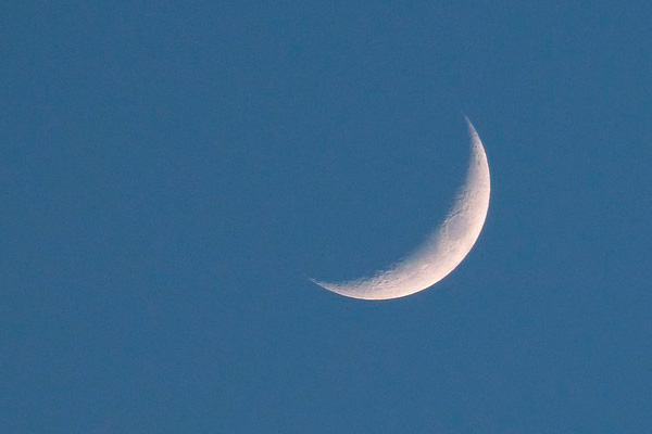 Wunderweib 20.11.25: Neumond-Magie